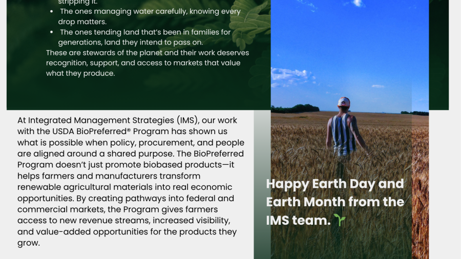 Green Modern Company Newsletter