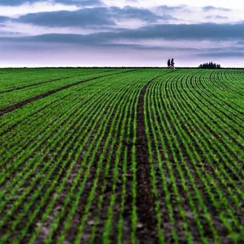 IMS wins United States Department of Agriculture (USDA) Women-Owned Business Contractor of the year Award